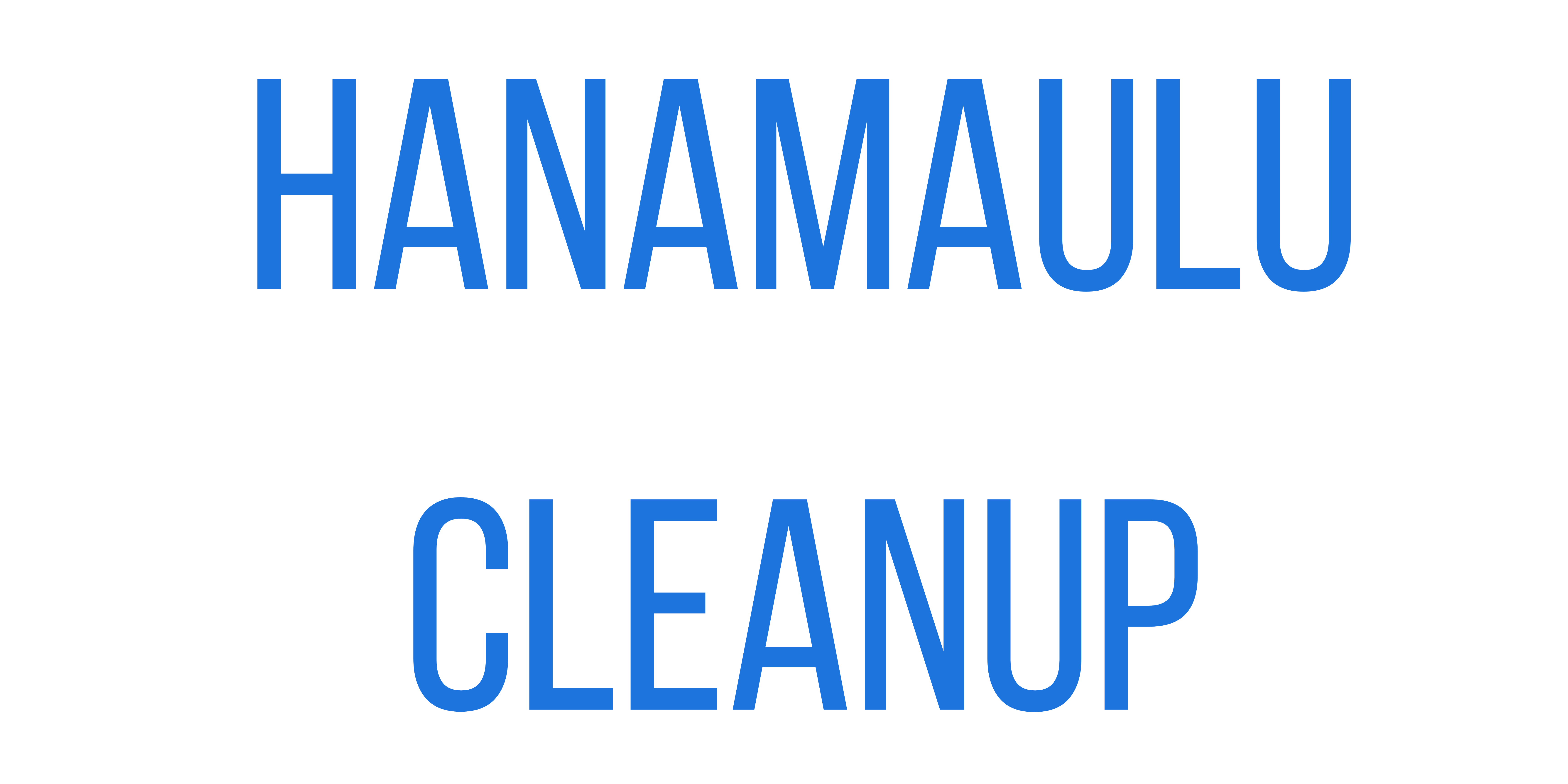 Kauai Beach Cleanups